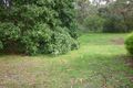 Property photo of 38 Bruce Street Balnarring VIC 3926