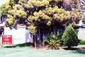 Property photo of 26 Hatfield Street Banyo QLD 4014