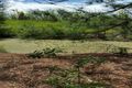 Property photo of 5A Coolmunda Court Branyan QLD 4670
