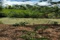 Property photo of 5A Coolmunda Court Branyan QLD 4670