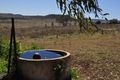 Property photo of 37 Warkon Street Greenmount QLD 4359