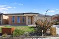Property photo of 12 Milla Avenue Armstrong Creek VIC 3217