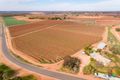 Property photo of 220 Stewart Road Red Cliffs VIC 3496
