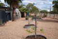 Property photo of 47 Gem Street Lightning Ridge NSW 2834