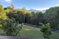 Property photo of 266 Tyalgum Road Eungella NSW 2484