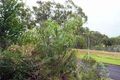 Property photo of 5 McKenzie Street Nowra NSW 2541