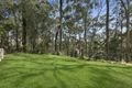 Property photo of 54 Sullivan Road Tallebudgera QLD 4228