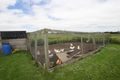 Property photo of 346 Giddens Road Smithton TAS 7330