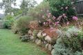 Property photo of 36 Falconglen Place Ferny Grove QLD 4055