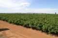 Property photo of 182 Gribble Road Yenda NSW 2681