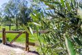 Property photo of 4 Daniels Close Rushforth NSW 2460