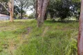 Property photo of 4 Virginia Parade Russell Island QLD 4184