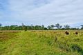 Property photo of 420 Fogwells Road Yorklea NSW 2470