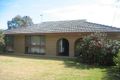Property photo of 36 Porter Street Moama NSW 2731