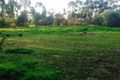 Property photo of 121 Belltonia Way Vasse WA 6280