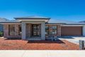 Property photo of 19 Dermody Avenue Kalkallo VIC 3064