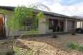 Property photo of 21 North Way Elizabeth Park SA 5113
