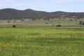 Property photo of LOT 6 Gladfield Back Road Gladfield QLD 4370