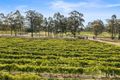 Property photo of 691 Hermitage Road Pokolbin NSW 2320