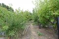 Property photo of 315 Ballarto Road Carrum Downs VIC 3201