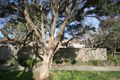 Property photo of 10 Foster Crescent Knoxfield VIC 3180