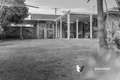 Property photo of 41 Frampton Street Alexandra Hills QLD 4161