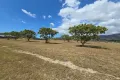 Property photo of 75 Orchard Circuit Alligator Creek QLD 4816