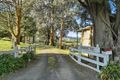 Property photo of 135 Clear Creek Valley Road Mirboo VIC 3871