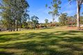 Property photo of 21 Jacaranda Avenue Wingham NSW 2429