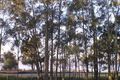 Property photo of 23 The Peninsula Killarney Vale NSW 2261