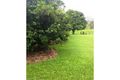 Property photo of 79 Pittionis Road Netherdale QLD 4756