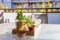 Property photo of 15/144-152 Regent Street Redfern NSW 2016