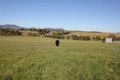 Property photo of 181 Bellevue Road Tenterfield NSW 2372