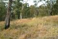 Property photo of 29 Delaware Drive Macquarie Hills NSW 2285