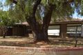 Property photo of 112 George Street Robinvale VIC 3549