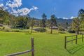 Property photo of 119 Glenmore Drive Bonogin QLD 4213