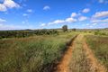 Property photo of 48 Pollocks Road Bracewell QLD 4695