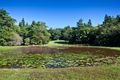 Property photo of 188 Dingo Lane Myocum NSW 2481