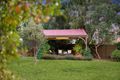 Property photo of 48 Windsor Road Glenunga SA 5064