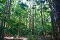 Property photo of 188 Dingo Lane Myocum NSW 2481