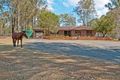 Property photo of 449-453 Camp Cable Road Jimboomba QLD 4280