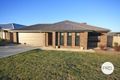 Property photo of 17 Willang Crescent Glenfield Park NSW 2650
