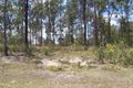 Property photo of 59-61 Drover Crescent Flagstone QLD 4280