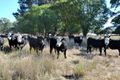 Property photo of 598 Spring Terrace Road Forest Reefs NSW 2798