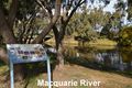 Property photo of 6 Grevillea Place Montefiores NSW 2820