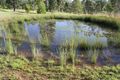 Property photo of 40 Maidenwell Upper Yarraman Road Maidenwell QLD 4615
