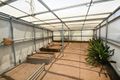 Property photo of 35 Andrew Street Singleton NSW 2330