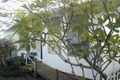 Property photo of 14 Oleander Street Canton Beach NSW 2263