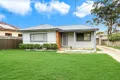 Property photo of 38 Springfield Avenue Blacktown NSW 2148
