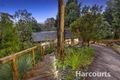 Property photo of 49 Mercia Avenue The Basin VIC 3154